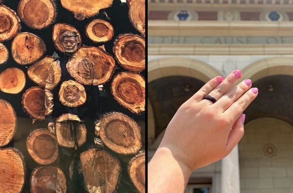tree-rings-a-bentwood-workshop