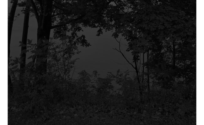 mindful-meditation-with-dawoud-beys-night-coming-tenderly-black