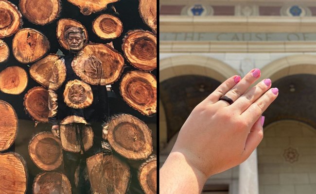 tree-rings-a-bentwood-workshop