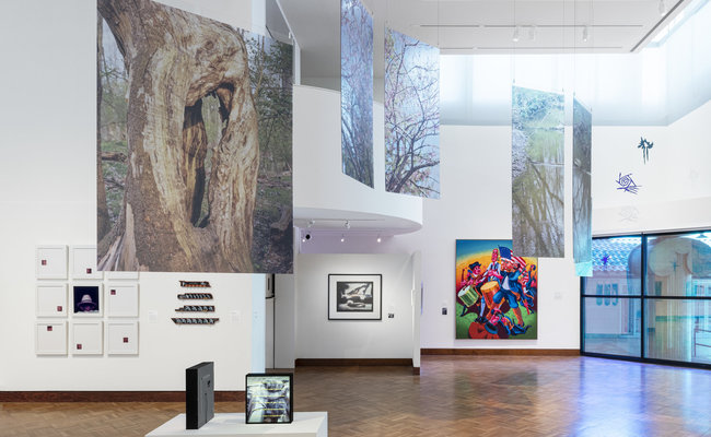exhibitions-events/events/2026/11/14/community-day