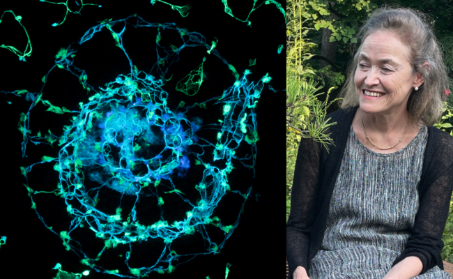 allen-after-hours-luminosity-in-paper-journey-to-japan