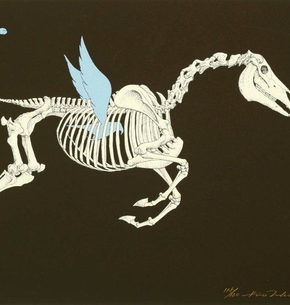 upcoming-exhibitions